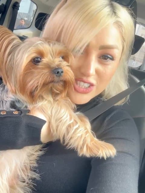 Paghadam · Alireza Talischi