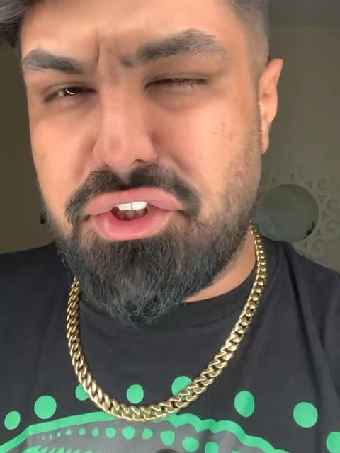 Sarzanesh · Ramin Bibak