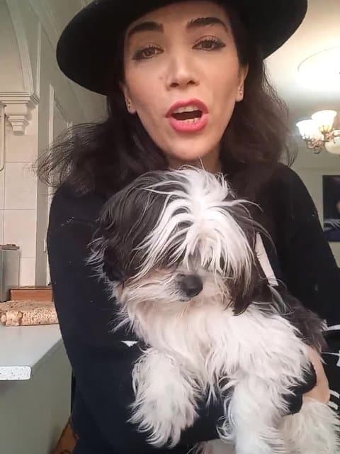 Rooze Sard · Shadmehr Aghili