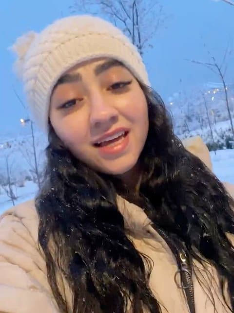 Sedam Bezan · Shadmehr Aghili