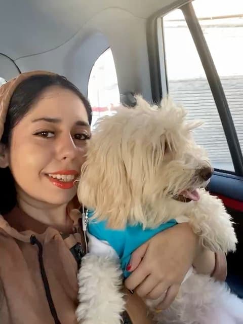 Mano Doost Dari · Eddie Attar & Morvarid