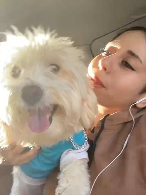 Eshghe Shirinam · Ahllam