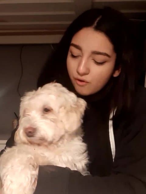 Cheghad Asheghetam · Black Cats