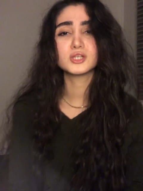 In Faseleh (Ft Alex Asli & Sijal) · Sepehr Khalse