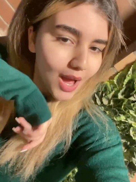 Koja Dari Miri · Arta