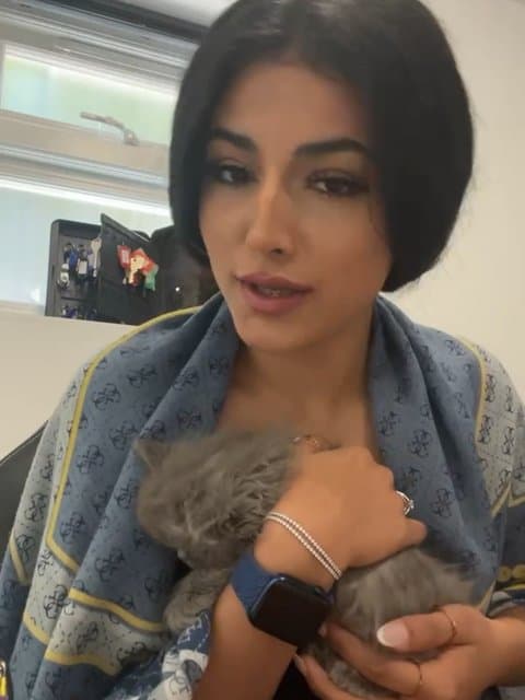 Rag · Mohammad Lotfi