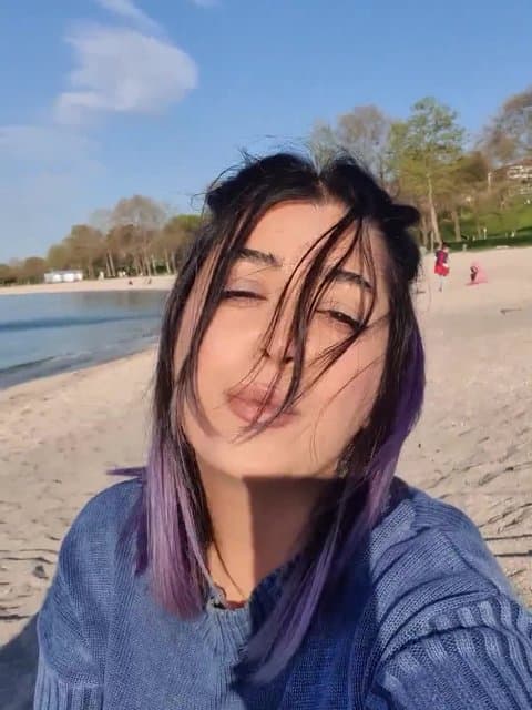 Deltang · Ramin Bibak