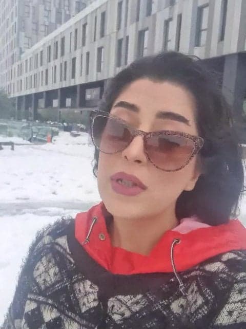 Sarzanesh · Ramin Bibak