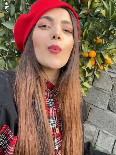 Shabe Toolani · Ali Molaei