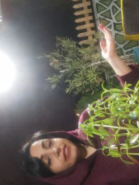 Gole Maryam · Reza Bahram