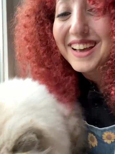 Zendegim (Acoustic) · Donya