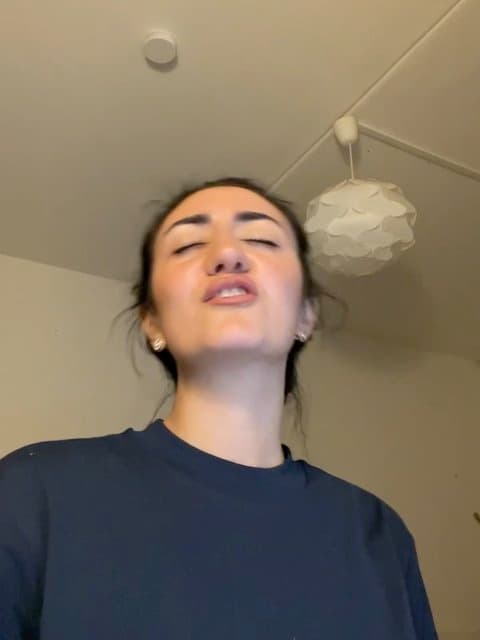 Vatanam · Hojat Ashrafzadeh