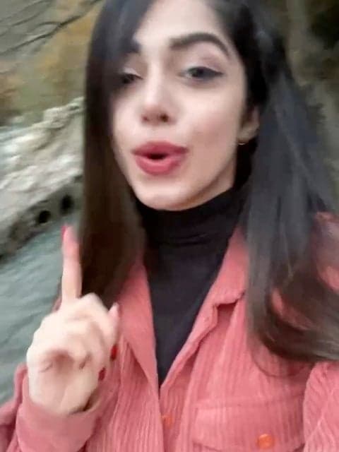 Paeiz · Shadmehr Aghili