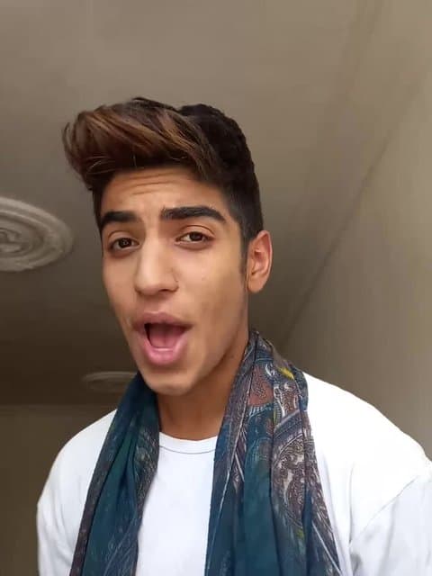 Emshab · Black Cats