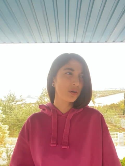 Boome Naghashi · Wantons