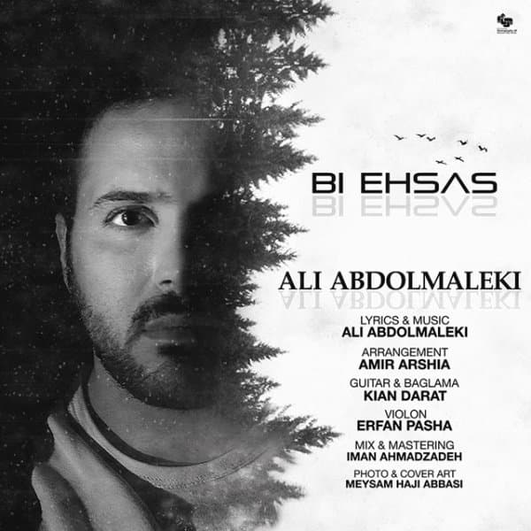 Bi Ehsas · Ali Abdolmaleki