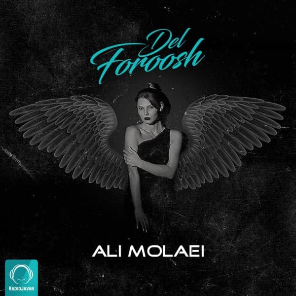 Delforoosh · Ali Molaei