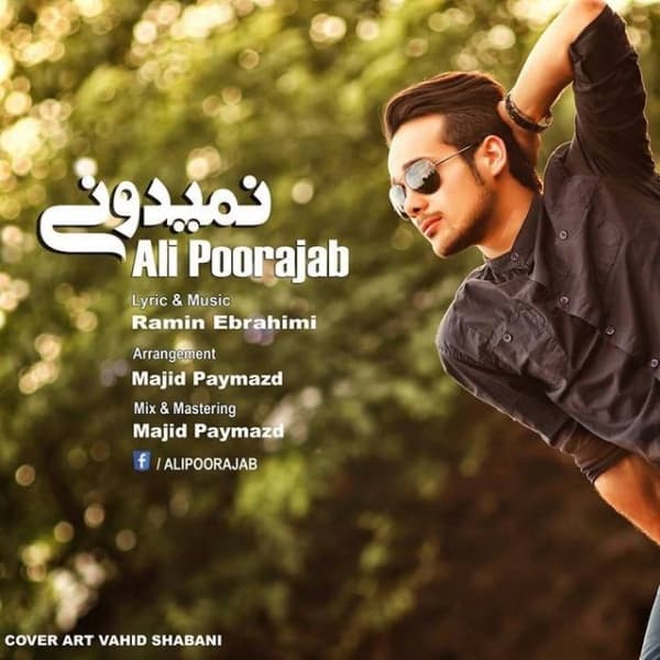 Nemidooni · Ali Poorrajab