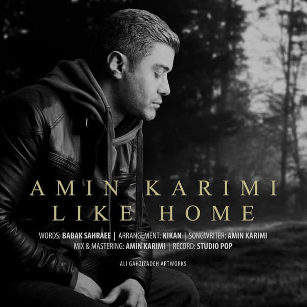 Like Home · Amin Karimi