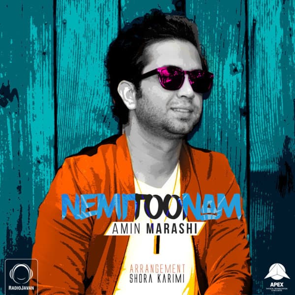 Nemitoonam · Amin Marashi
