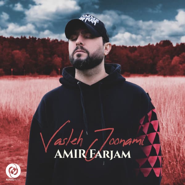 Vasleh Joonami · Amir Farjam