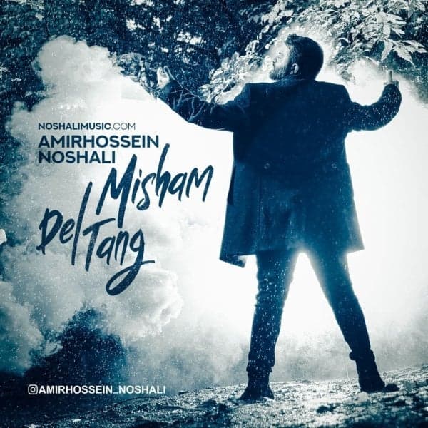 Deltang Misham · Amirhossein Noshali