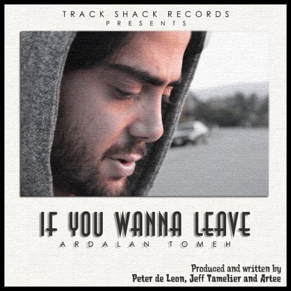 If You Wanna Leave · Ardalan Tomeh