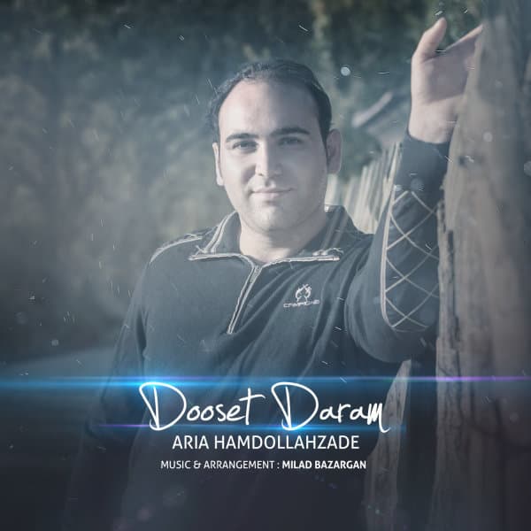 Dooset Daram · Aria Hamdollahzadeh