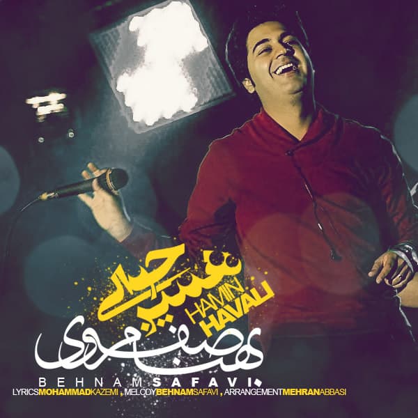Hamin Havali · Behnam Safavi