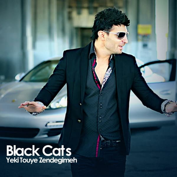 Yeki Touye Zendegimeh · Black Cats