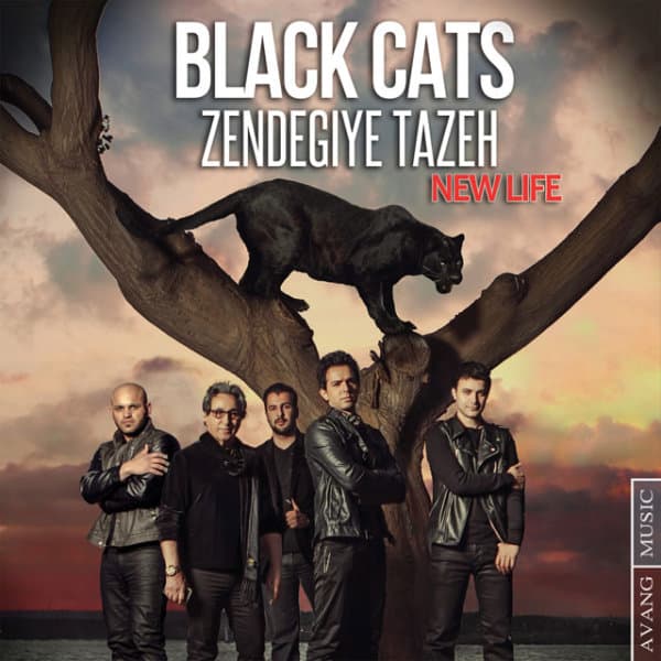Zendegiye Tazeh · Black Cats