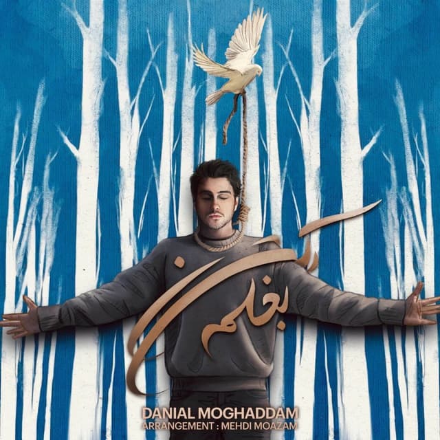 Baghalam Kon · Danial Moghaddam