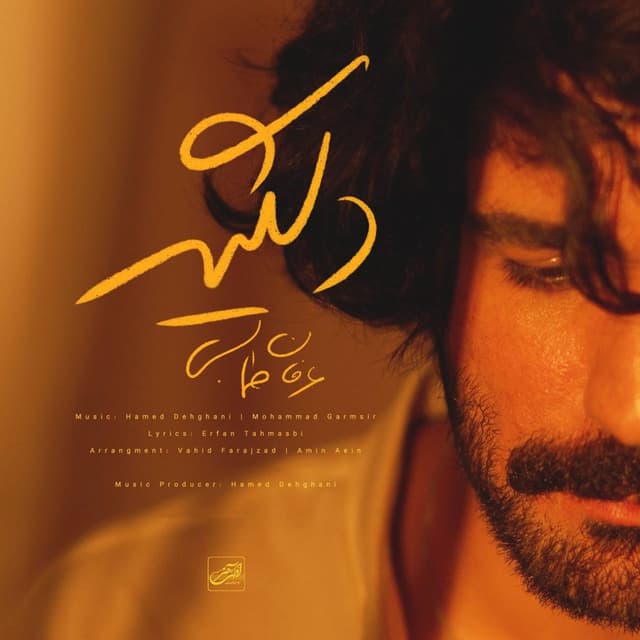 Delgir · Erfan Tahmasbi