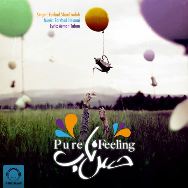 Hesse Naab · Farhad Sharifzadeh