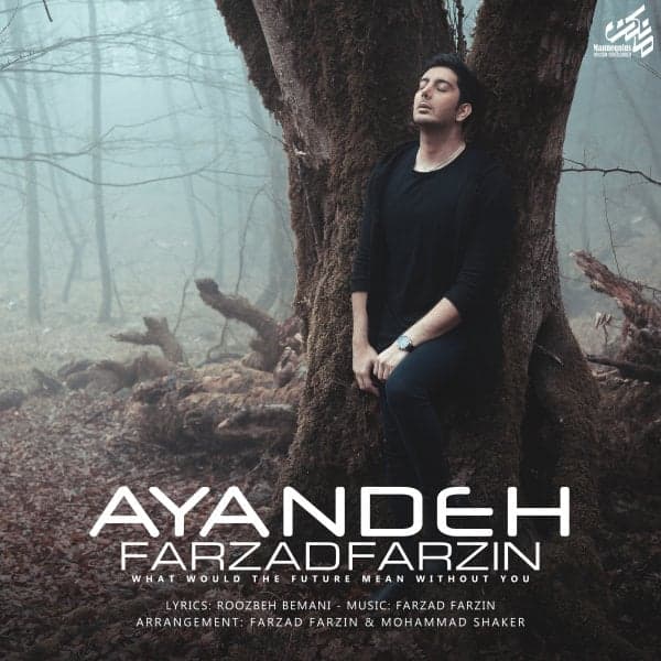 Ayandeh · Farzad Farzin