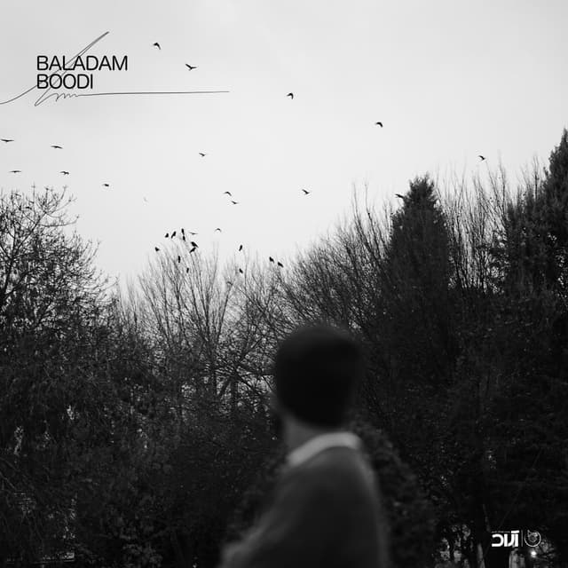 Baladam Boodi · Haamim