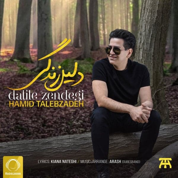 Dalile Zendegi · Hamid Talebzadeh