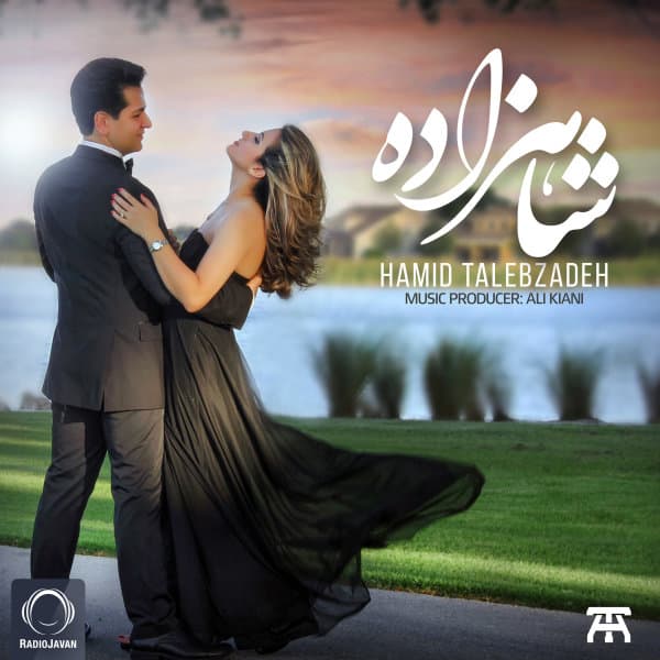 Shahzadeh · Hamid Talebzadeh