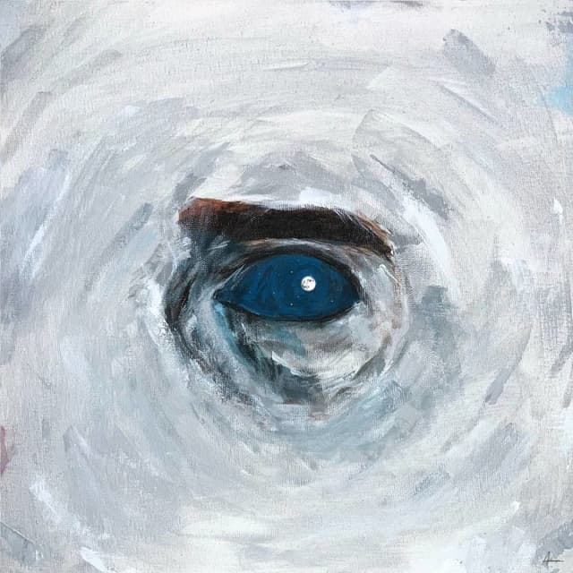 Asemun · Imanemun, Sami Low, & Erfan