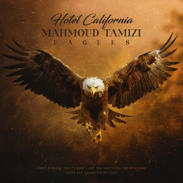 Hotel California · Mahmoud Tamizi