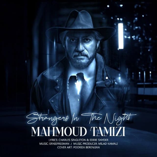 Strangers In The Night · Mahmoud Tamizi