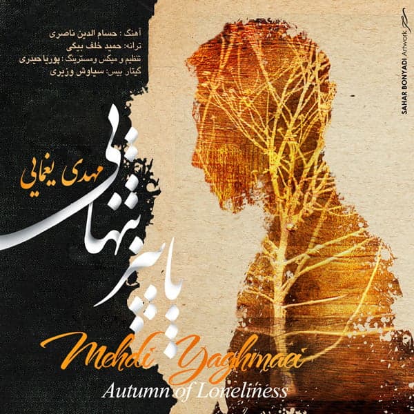 Paeeze Tanhaei · Mehdi Yaghmaei