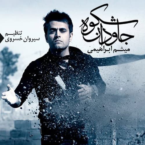 Shokuhe Javdan · Meysam Ebrahimi