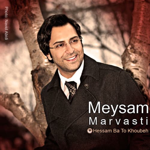 Hessam Ba To Khoobe · Meysam Marvasti