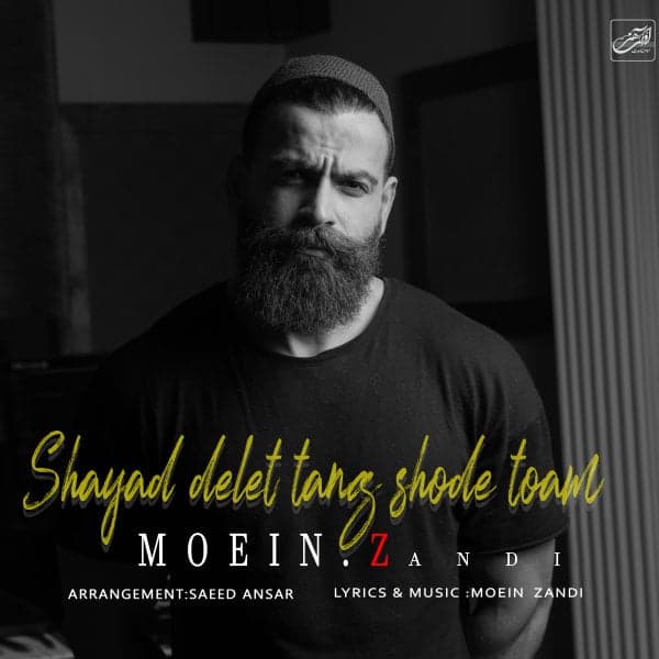 Shayad Delet Tang Shode Toam · Moein Z