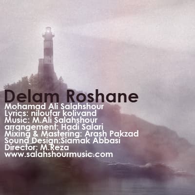 Delam Roshane · Mohamad Ali Salahshour