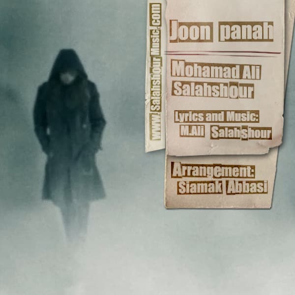 Joon Panah · Mohamad Ali Salahshour