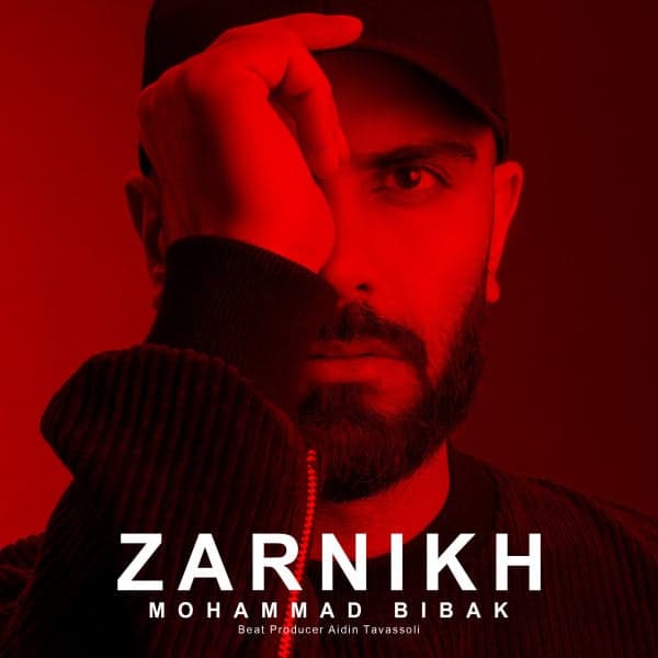 Zarnikh · Mohammad Bibak