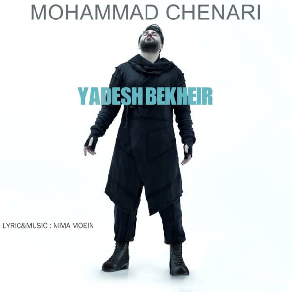 Yadesh Bekheir · Mohammad Chenari