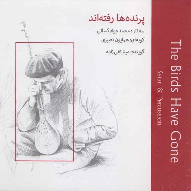 For You · Mohammad Javad Kasaei & Homayoun Nasiri